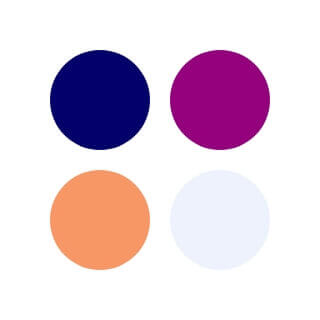 MontagueLaw color pallete