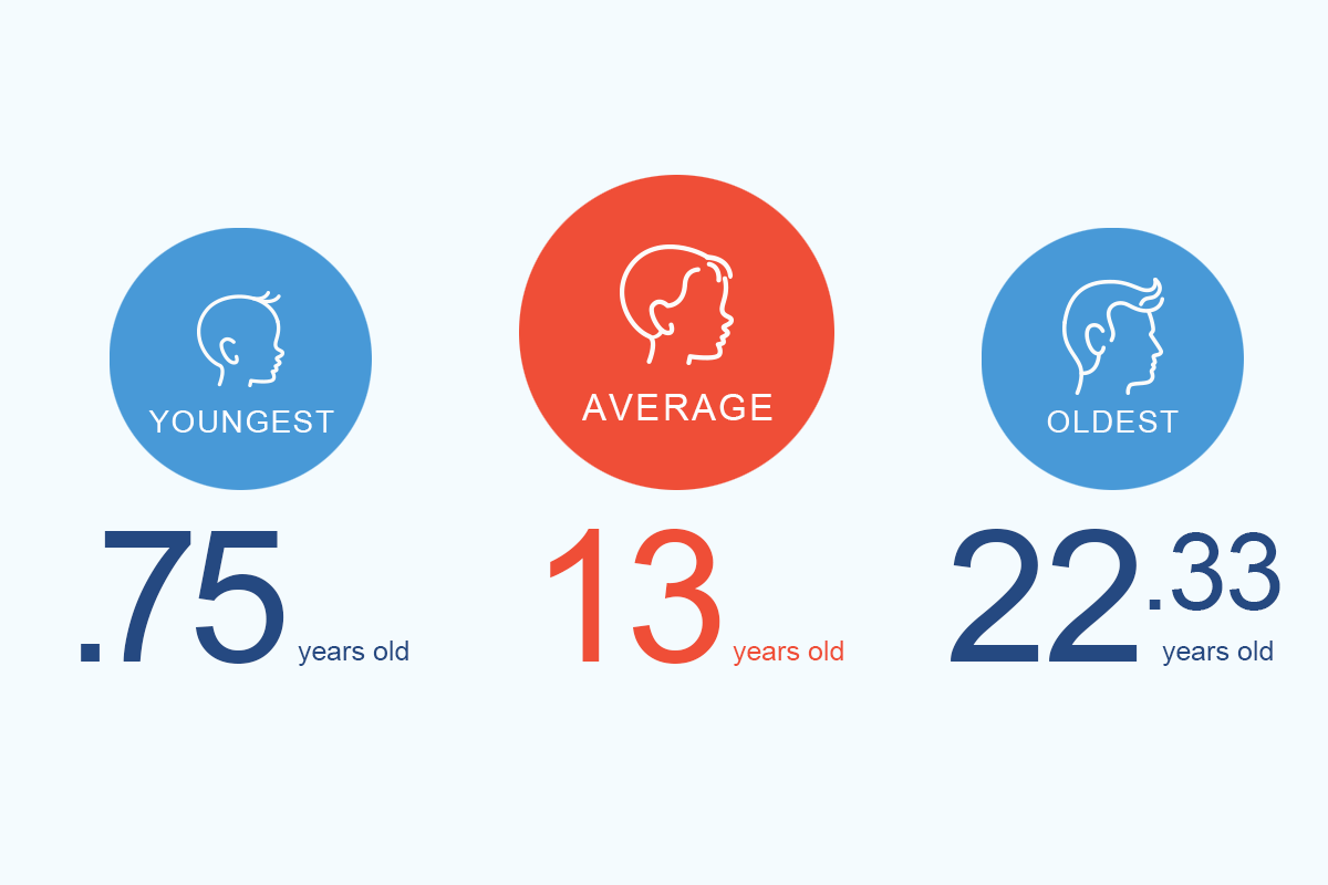 Lawyer domain age